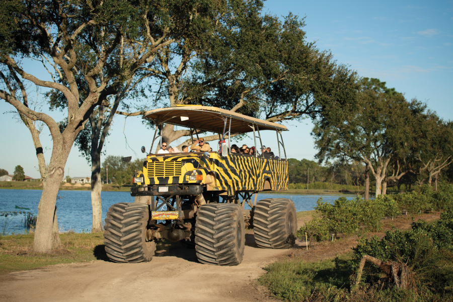 Go On a Monster Truck Adventure