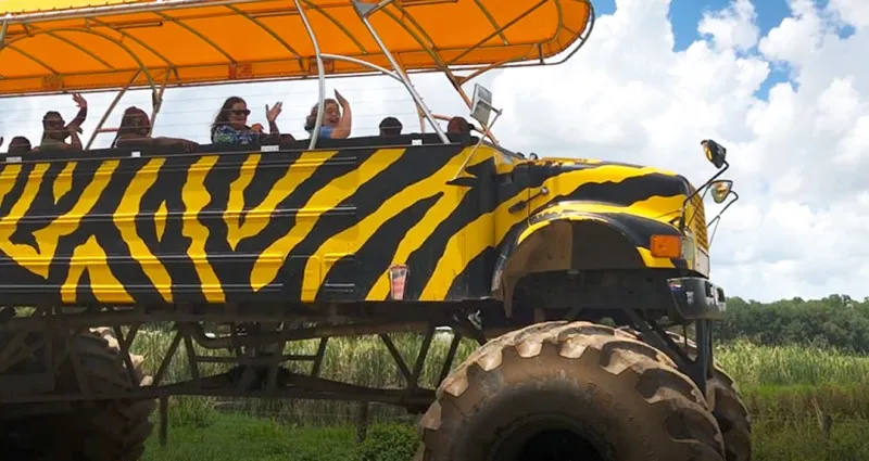 Monster Truck Adventure